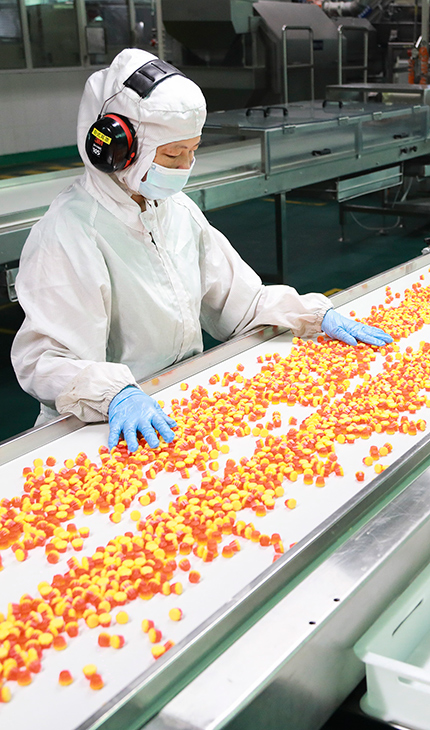 Food Processing